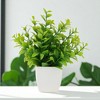 Unique Bargains Artificial Plants "Dragon Across River" Vine Plant Plastic Green 2.76"x2.76"x7.09" 1 Pc - 2 of 4