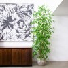 Nearly Natural 8-ft Artificial Green Bamboo Tree - 4 of 4