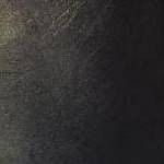 clear push pins bundle