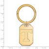 Black Bow Jewelry 14k Yellow Gold Plated Sterling Silver Tennessee Volunteers NCAA Key Chain - 2 of 3