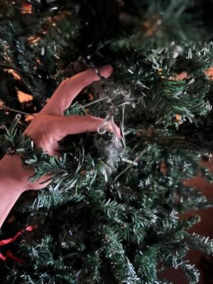 Guest review image 2 of 2, zoom in