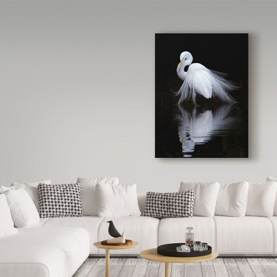 Elegant White Bird on Black Canvas Framed Art