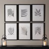Plum & Post Framed Gray-Tone Fern Prints, Set Of 6 - 3 of 3