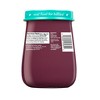 Beech-Nut Non-GMO Naturals Apple Blueberry Ginger Baby Meals Jar - 4oz - 2 of 4
