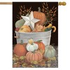 Fall Bushel Primitive House Flag Pumpkins Star Berries 28" x 40" Briarwood Lane - 2 of 4
