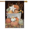 Fall Bushel Primitive House Flag Pumpkins Star Berries 28" x 40" Briarwood Lane - image 2 of 4