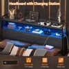 Aheaplus Storage Headboard, Head Board with Charge Station and LED Light - 3 of 4