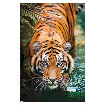 Bengal Tiger / La Tigre del Bengala For Sale at 1stDibs  bengal tiger film,  tiger directed drawing, vintage tiger poster