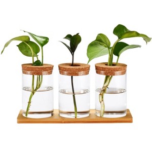 Window Garden Desktop Plant Terrarium Vase with Lid, Set of 3, Clear - 1 of 4