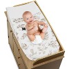 Sweet Jojo Designs Boy or Girl Gender Neutral Unisex Changing Pad Cover Botanical Leaf Taupe and White - 2 of 4