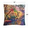 Decorative Throw Pillow_2 by Trademark Fine Art - 4 of 4