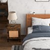 Rattan Nightstand Set of 2, Modern Farmhouse End Table with Storage Cabinet and 1 Door, Rustic Couch Side Table for Living Room Bedroom - 2 of 4