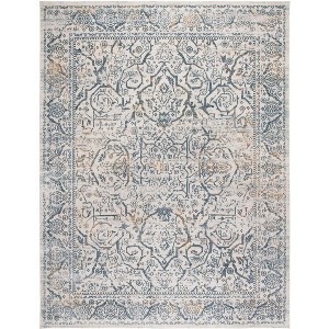 Princeton PRN714 Power Loomed Indoor Rugs - Safavieh - 1 of 4