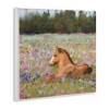 Stupell Industries Foal Horse Lounging Flower Meadow Wall Plaque Art - 2 of 4