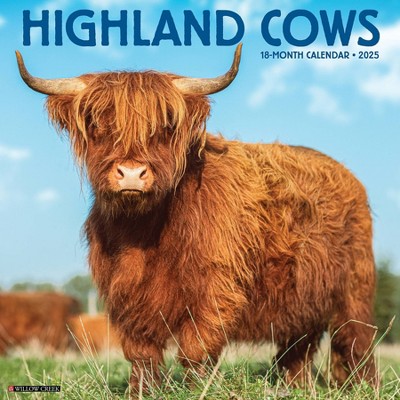 Willow Creek Press Highland Cow's 2025 Wall Calendar: Monthly, 12x12 Inches, Paper, Sewn Binding, All Ages, Blue