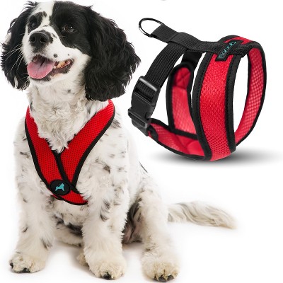 Gooby Comfort X Head In Harness Red, X