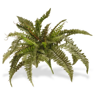 Garden Accents Artificial Boston Fern Plant 26" - National Tree Company