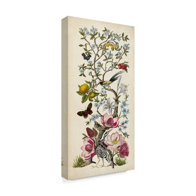 Trademark Fine Art -Naomi Mccavitt 'Chinoiserie Natura Ii' Canvas Art