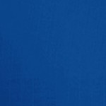 royal blue/black mesh