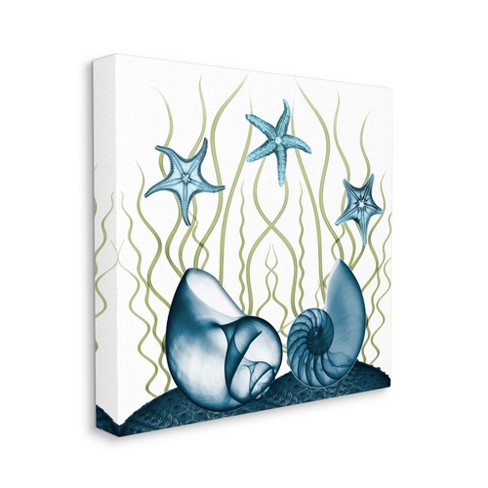 Stupell Industries Nautilus Shells And Starfish Modern Sea Floor Design Target