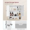 Wall-Mounted Cabinet with 2 Mirrored Doors, 22.2x23 Inch Adjustable Shelf Storage with Open Compartment - 4 of 4