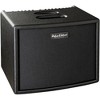 Hughes & Kettner Era 1 250W 1x8 Acoustic Combo Amp - 4 of 4