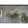 Melrose Fern and Succulent Moss Half Werath - 2 of 3