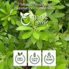 Organic Myrtle Leaf Powder 1 Lbs - 4 of 4