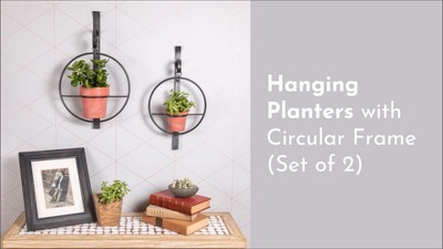 Set of 2 Black Iron Hanging Planters with Terracotta Pots