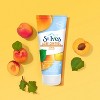 St. Ives Oil-Free Acne Control Apricot Face Scrub - 6oz - image 3 of 4