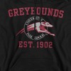 University of Indianapolis Official Circle Logo Adult Pull-Over Hoodie - 2 of 4
