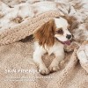 Bedsure- Cloud Soft PV Blanket ,Comfy Plush and Furry Faux Fur - 3 of 4