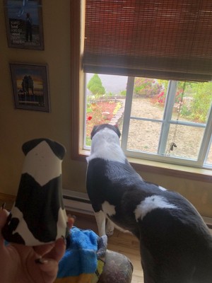 Guest review image 1 of 2, zoom in