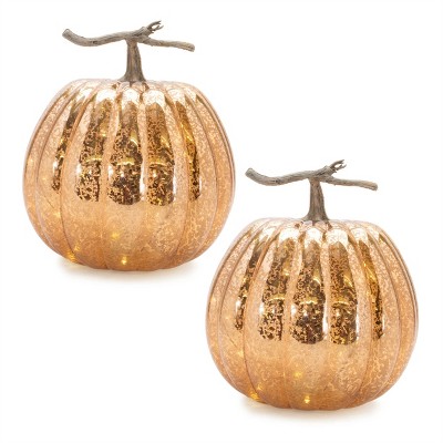LED Mercury Glass Pumpkin Decor (Set of 2)