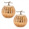 LED Mercury Glass Pumpkin Decor (Set of 2) - 3 of 3