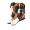 Nylabone Dura Chew Smooth Chicken Flavor White Dog Bone - Souper - image 3 of 3