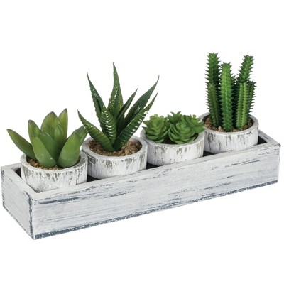 Sullivans Artificial Four Potted Cactus Succulent In Tray 4"H Green