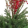 National Tree Company 48" Pre-Lit Potted Pine & Berries Artificial Plant with LED White Lights: Indoor/Outdoor Christmas Decor - image 3 of 4