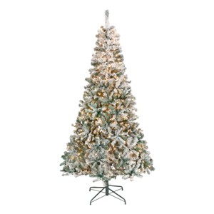 National Tree Company First Traditions Pre-Lit Flocked Acacia Artificial Christmas Tree Clear Lights - 1 of 4