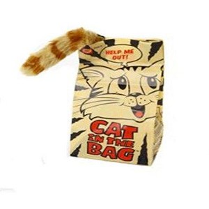 Multipet Cat The Bag Motorized Dog and Cat Toy - 1 of 1