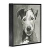 Stupell Industries Muted Dog with Quiet Expression, 12" x 12" - 3 of 4