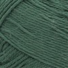 Lion Brand Local Grown Cotton Yarn - 2 of 2