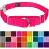 Country Brook Petz Heavyduty Nylon Martingale with Premium Buckle - 2 of 4