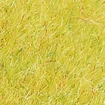 golden yellow