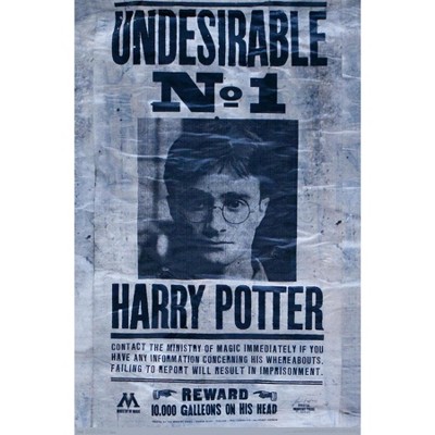Trends International The Wizarding World: Harry Potter - Undesirable ...