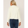 INSPIRE CHIC Women's Collar Warm Winter Outwear Cropped Faux Fur Fluffy Coat - 4 of 4