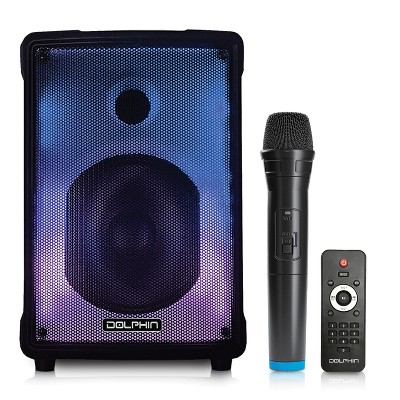 Dolphin Audio Kp-80 Portable 40-watt-continous-power Bluetooth