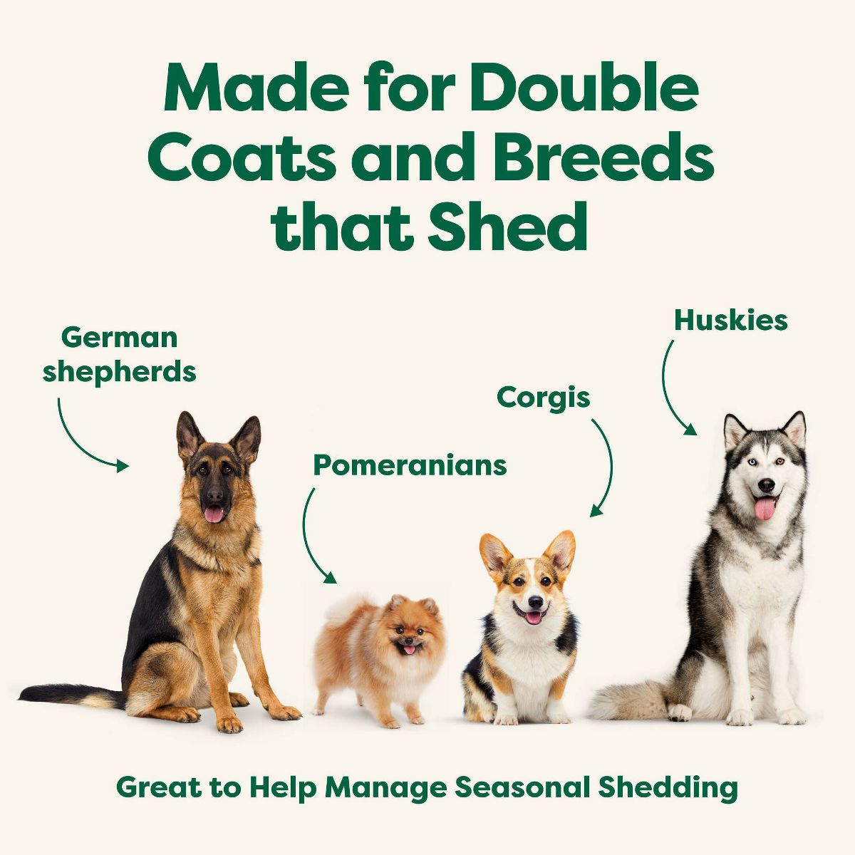 Earth Rated 4-in-1 Deshedding Hypoallergenic Dog Shampoo and Conditioner - White Tea & Basil Scent - 16 fl oz - thumbnail 7