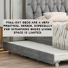 Queen Size Upholstered Platform Bed with Trundle and Storage Drawers - 4 of 4