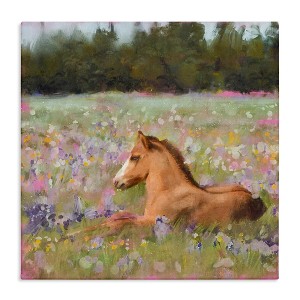 Stupell Industries Foal Horse Lounging Flower Meadow, 24" x 24" - 1 of 4